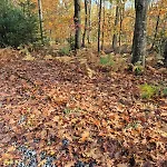 Lapause De Fromiée-gerpinnes Séjour chez l'habitant *