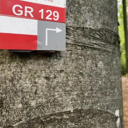 LaPause de Fromiée-Gerpinnes * Gerpinnes