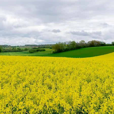 Chambre De Amandine A Gerpinnes منزل للإقامة Gerpinnes