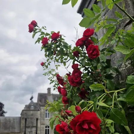 Chambre De Amandine A Gerpinnes منزل للإقامة Gerpinnes