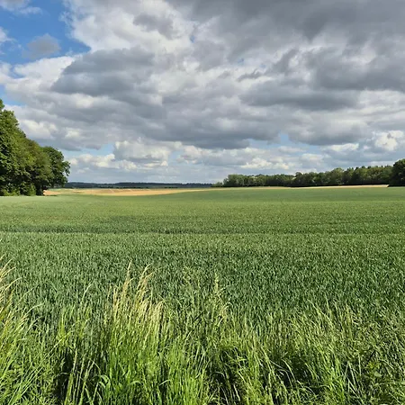 منزل للإقامة Chambre De Amandine A Gerpinnes Gerpinnes