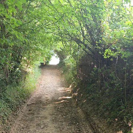 De Amandine à