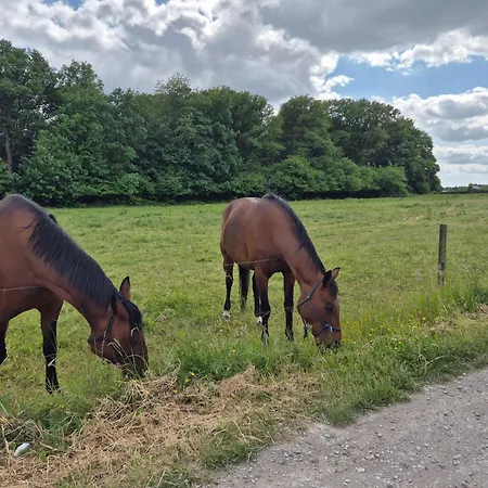 Alloggio in famiglia LaPause de Fromiée-Gerpinnes