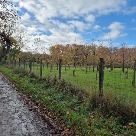 Chambre De Amandine A Gerpinnes Gerpinnes