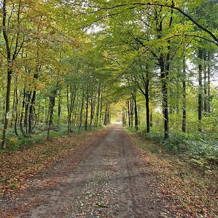 Проживание в семье Chambre De Amandine A Gerpinnes Gerpinnes