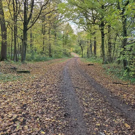 Проживание в семье Chambre De Amandine A Gerpinnes