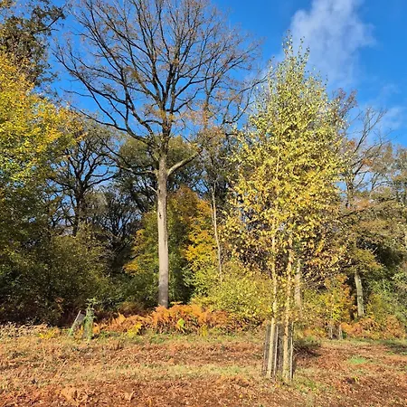 Chambre De Amandine A Gerpinnes Проживание в семье Gerpinnes