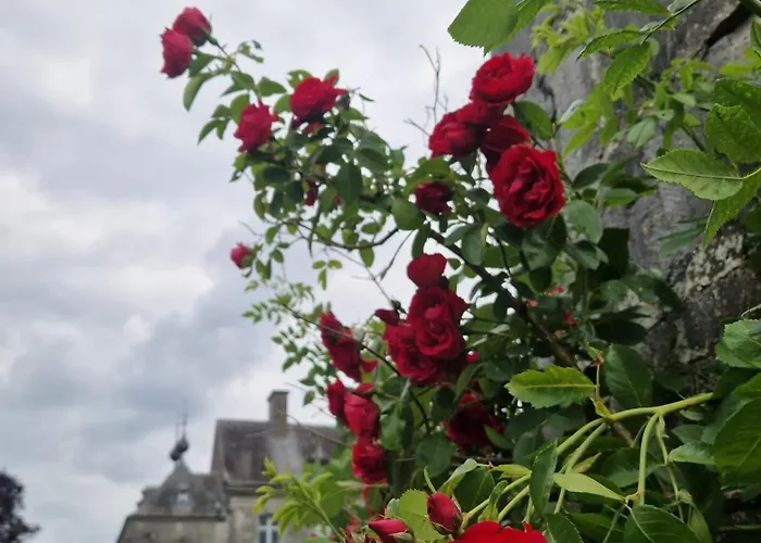 De Amandine A Habitación en casa particular Gerpinnes